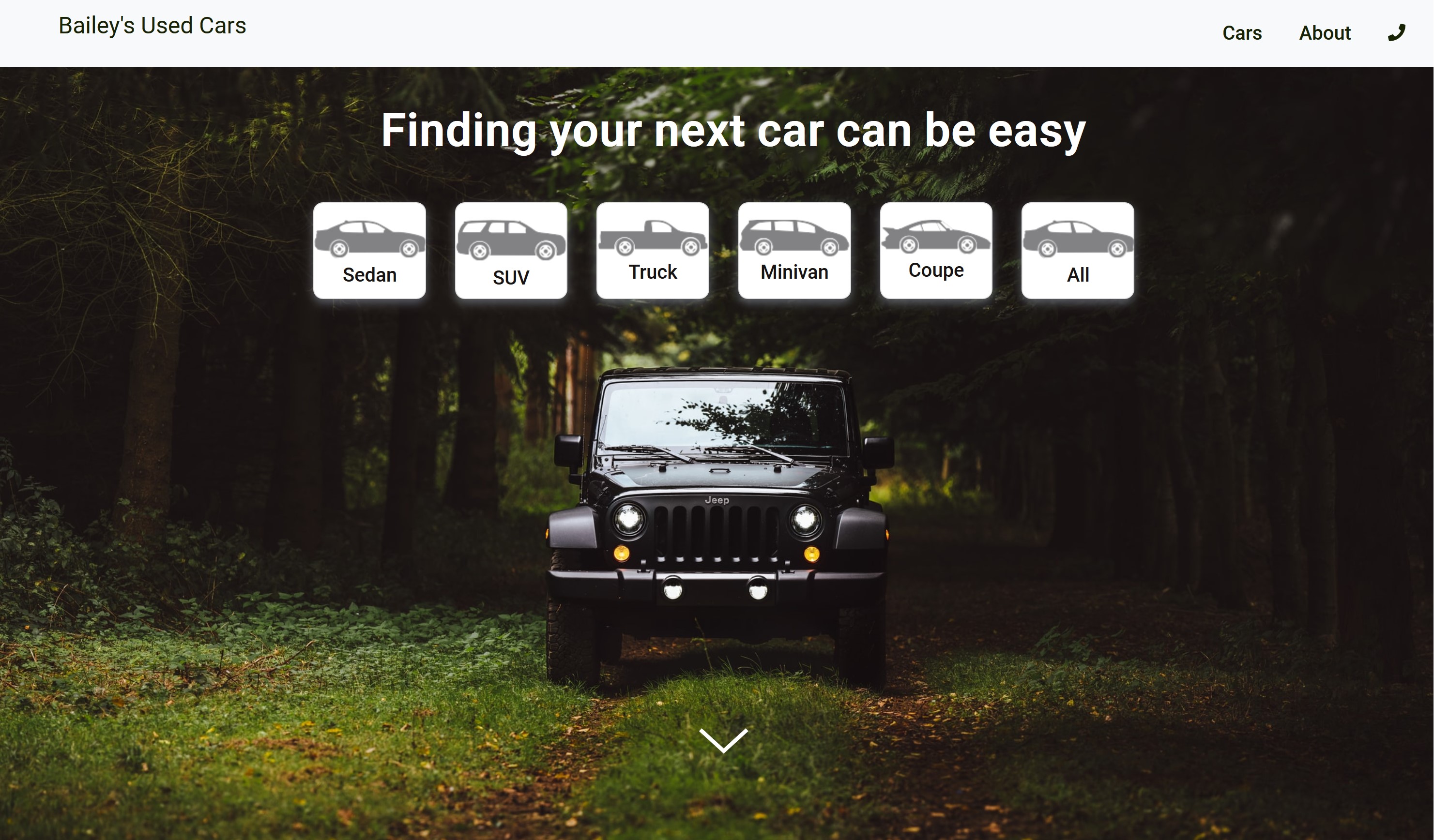 Picture of website seth created